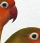 p0