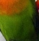 p0