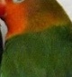 p0