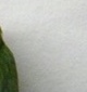 p0
