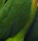 p0