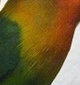 p0