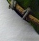 p0