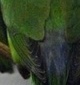 p0