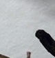 p0