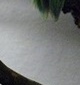 p0