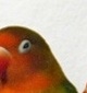 p0
