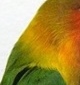 p0
